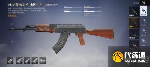 和平精英步枪选择推荐