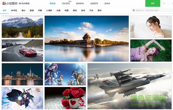 小鸟壁纸正式版