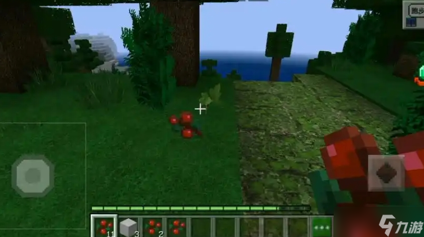 我的世界甜浆果效果_我的世界甜浆果采集