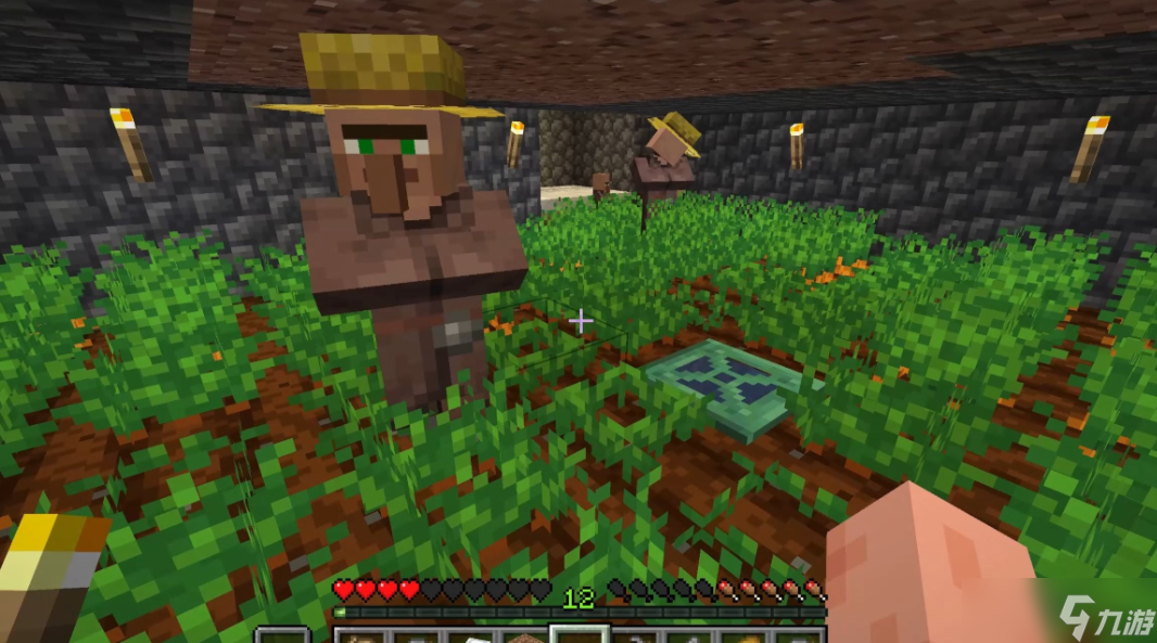 我的世界怎么培养农民