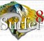 surfer(画三维图)专业版下载v8.0 汉化免费版