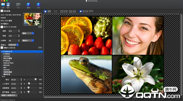 PhotoZoom Classic Mac版 PhotoZoom Classic Mac版