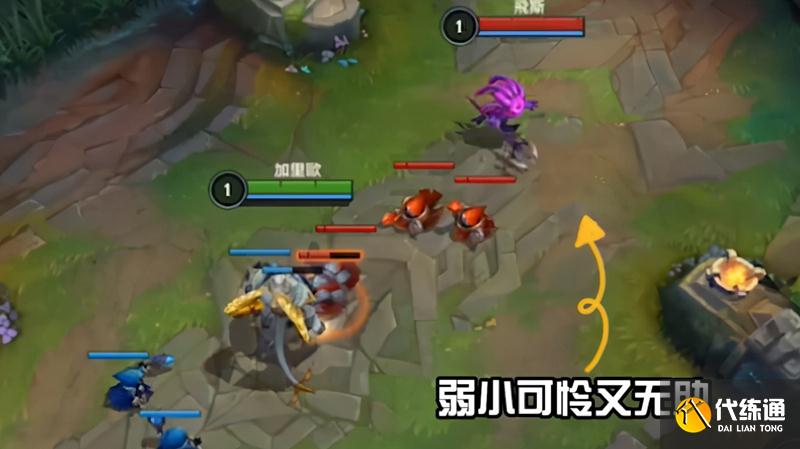 AD刺客英雄小鱼人