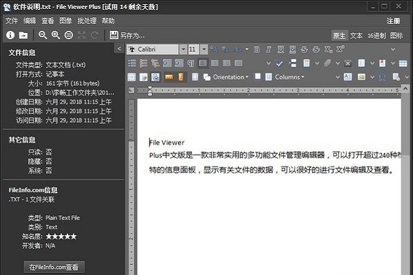 file viewer plus电脑版