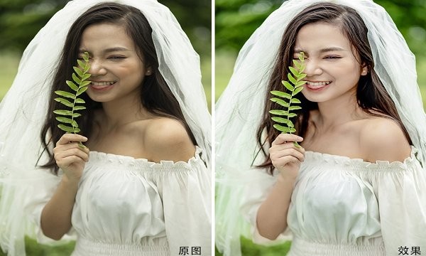 鲁班修图软件免费下载