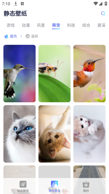 哇叽壁纸手机版