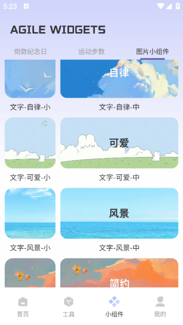 Fun Widgets 灵动小组件软件