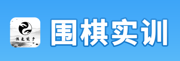 围棋实训app 围棋实训app