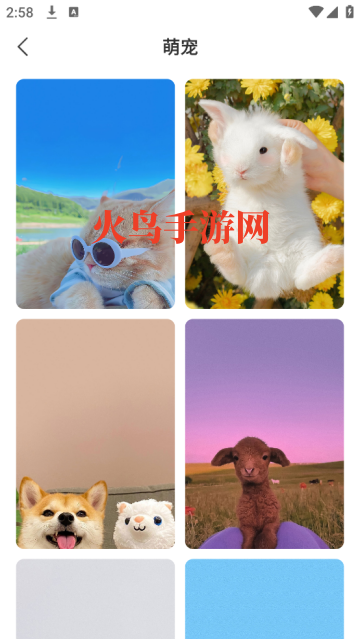 飞羽壁纸高清app