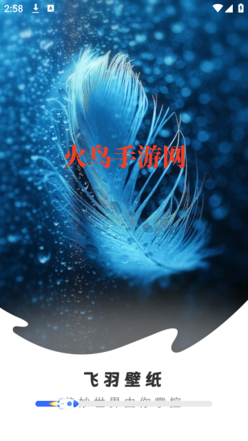 飞羽壁纸高清app