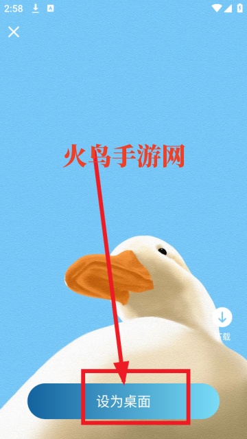 飞羽壁纸高清app