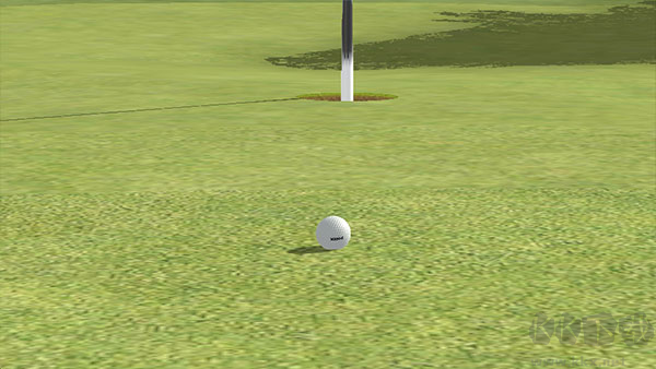 高尔夫之王(Golf King World Tour)