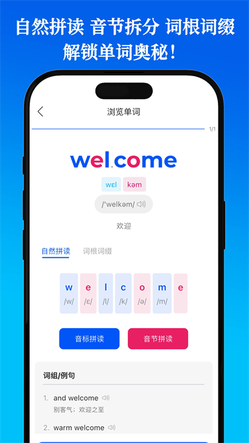 鹦鹉单词app