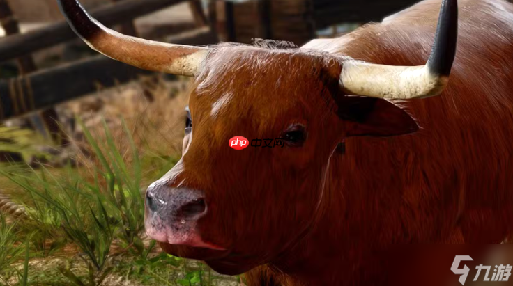 意外之喜！《博德之门3》玩家游玩800小时仍有新发现