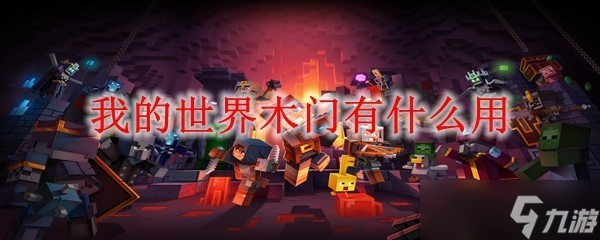 我的世界木门有什么用