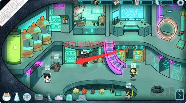 卵生猫之星际海贼团