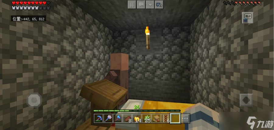 我的世界村民抢床位对策