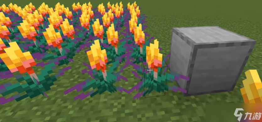 我的世界火把花有哪些特点