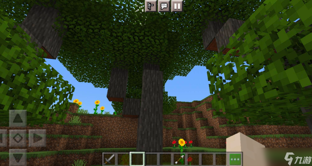 我的世界有哪些植物