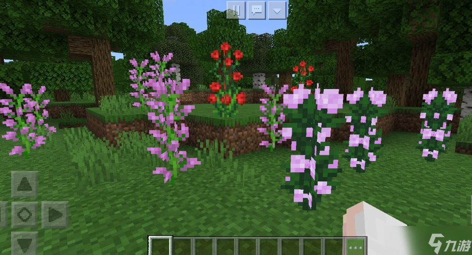 我的世界有哪些植物