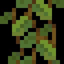 我的世界洞穴藤蔓有什么用