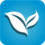 叶子TV电视版官方版