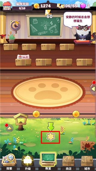 猫猫学园