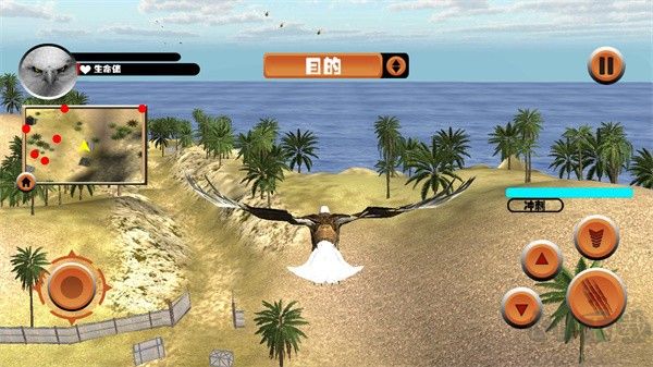 老鹰模拟器