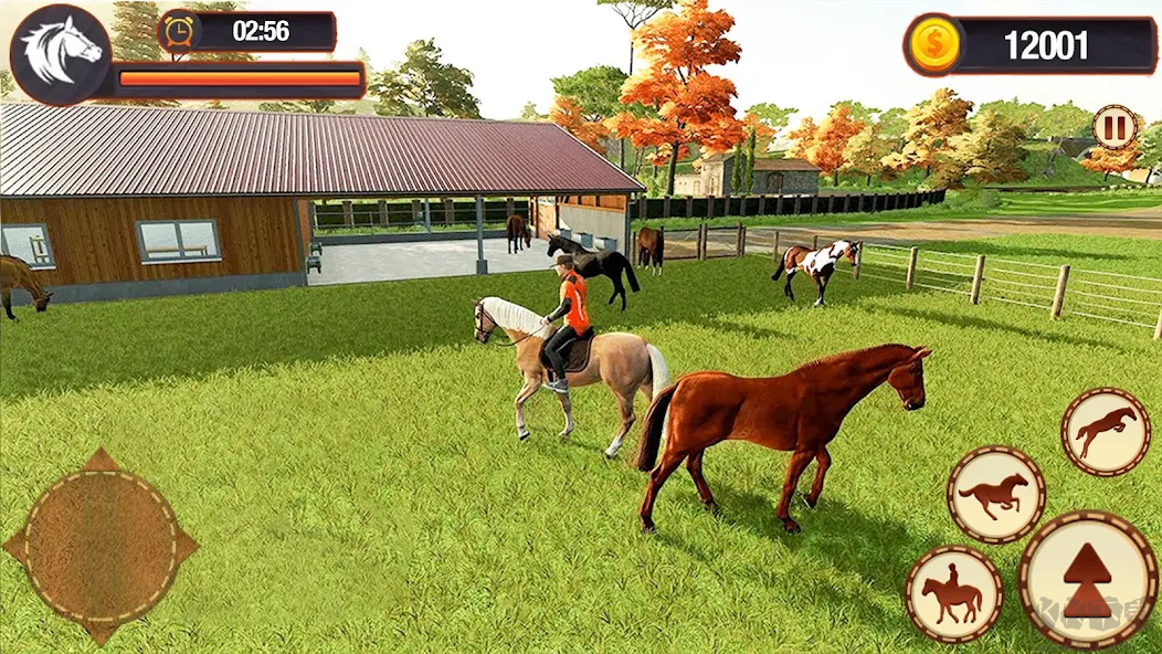 虚拟马族模拟器(Virtual Horse Riding Simulator)