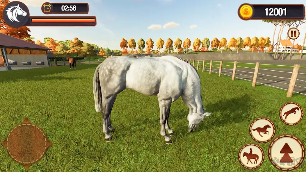 虚拟马族模拟器(Virtual Horse Riding Simulator)