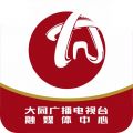 看大同 v2.2.0手机版